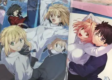 TYPEMOON SPECIAL Fate 공의 경계 월희 클리어 파일