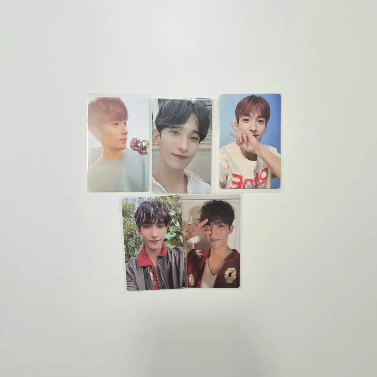 세븐틴 도겸 포카 양도 박수일본캐럿반재팬위버스섹터헤븐럭드
