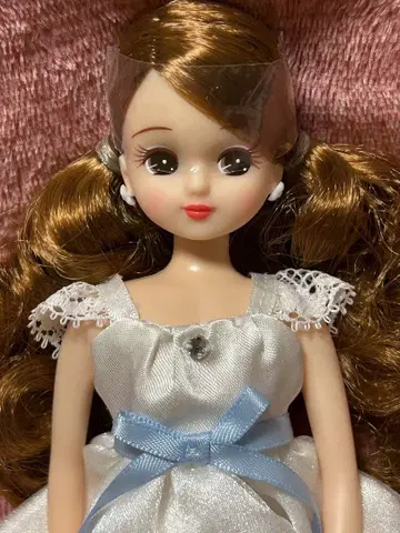 리카짱 캐슬 시즌 컬렉션 모델 리카짱