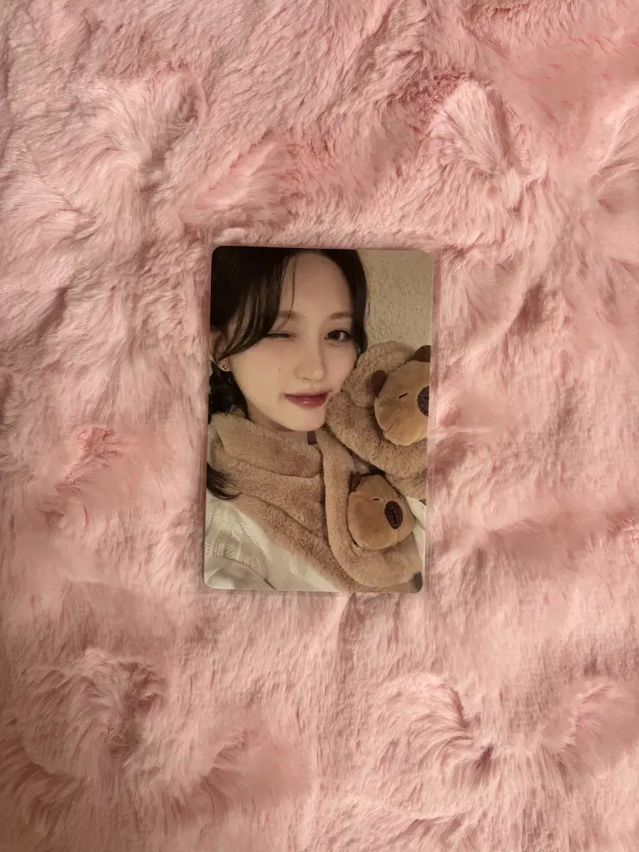 아이브 스위치 이즈위 카피바라 가을 포카