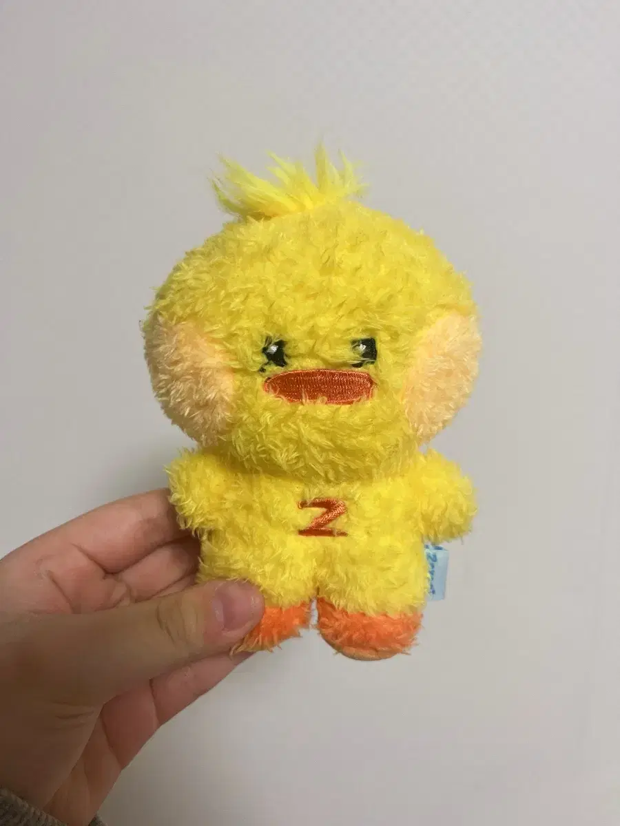 제베원 김태래 태니니 팝니다