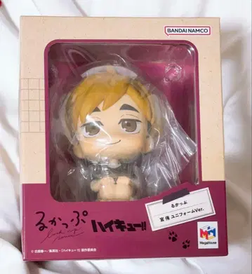 하이큐 미야 아츠무 룩업