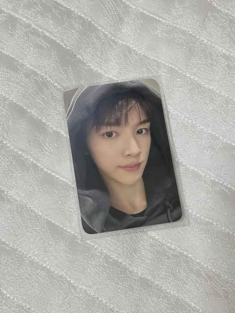 라이즈 성찬 포카 양도