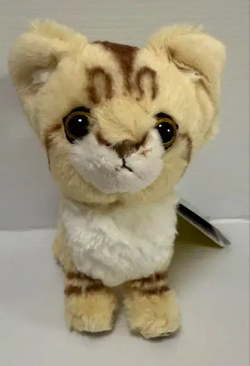 키톤 봉제 인형 S 스나 고양이 미사용품