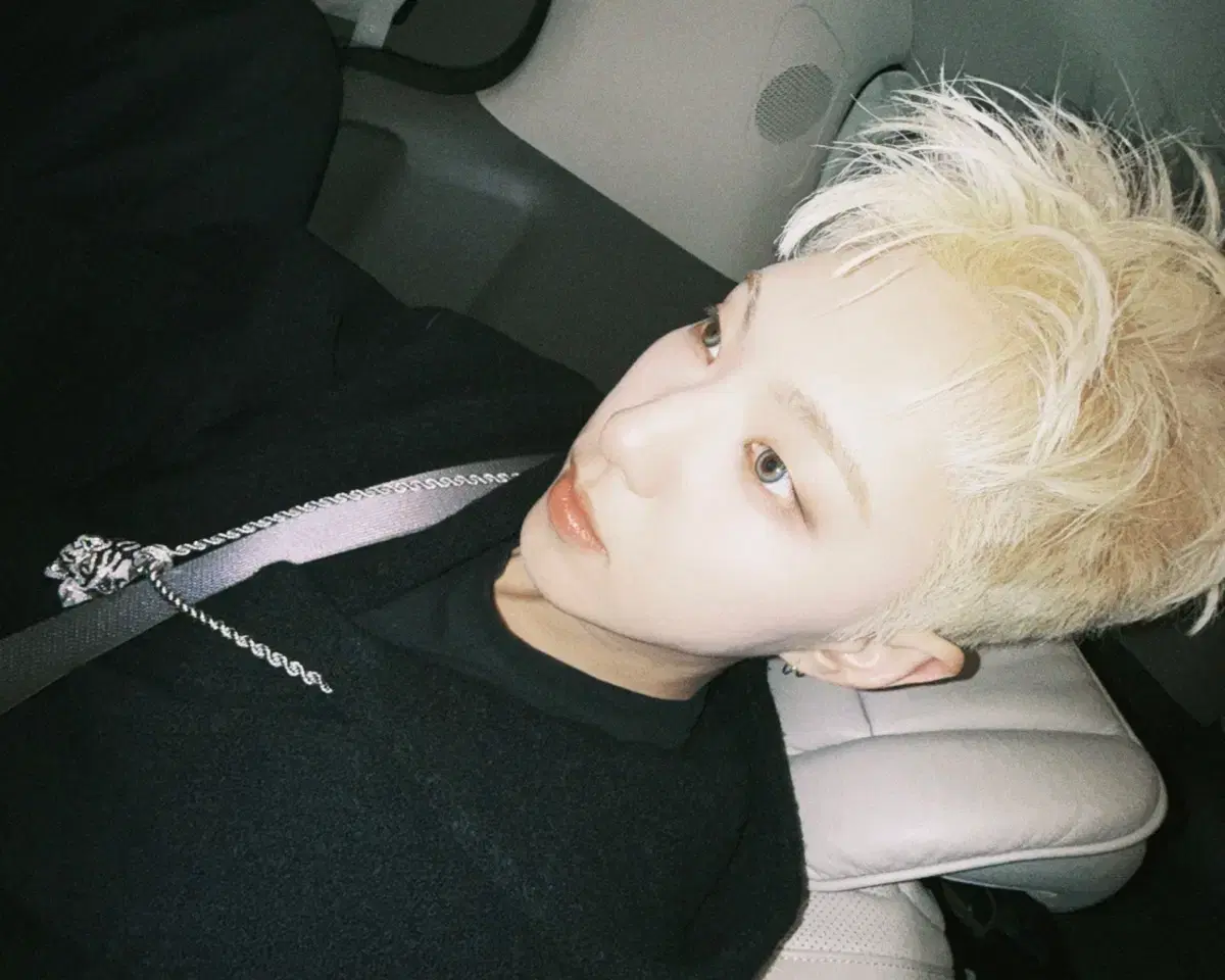 급처)세븐틴 회장한정 준 포카 양도 정한원우민규호시분철이즈위캐럿존