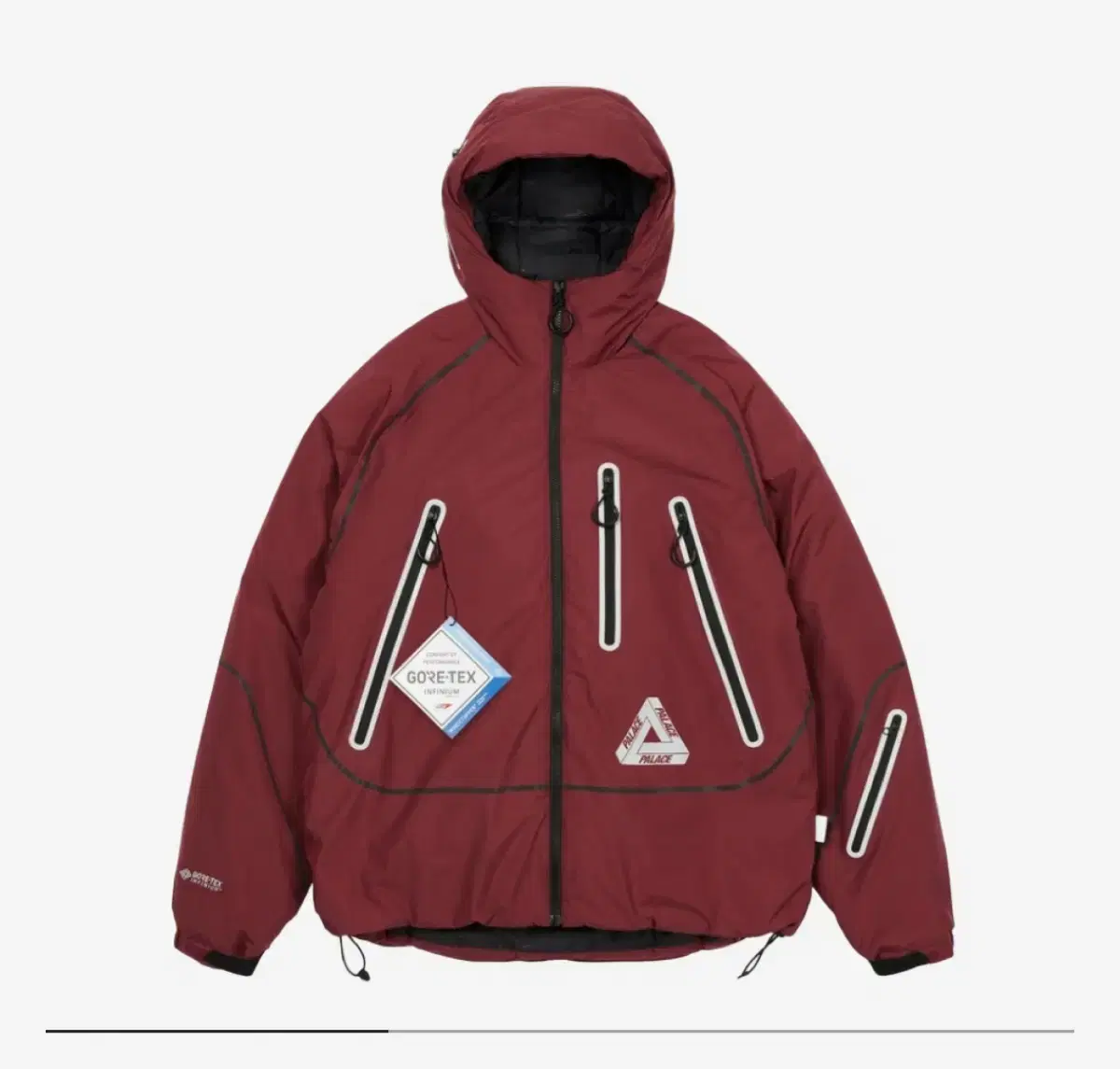 Palace Gore-tex Infinium P-Tech Jacket L