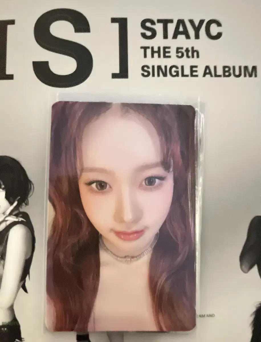 stayc 스테이씨 시은 138 얼빡 공방 포카 wts pcs