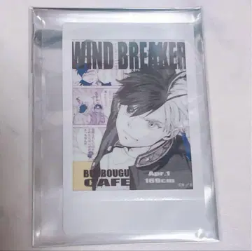 WIND BREAKER 윈브레이커 폴라로이드 콜라보 카페 벚꽃