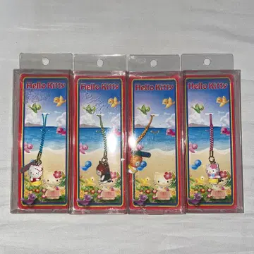 키티 하와이 네츠 파인애플 플루메리아 코코넛 알로하