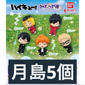 하이큐 잠꾸러기 대원 월섬 5개