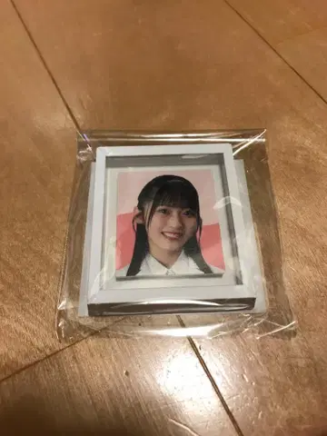 AKB48 17 연구소 오리지널 액자 마그넷 솔로 버전 사토 기세이