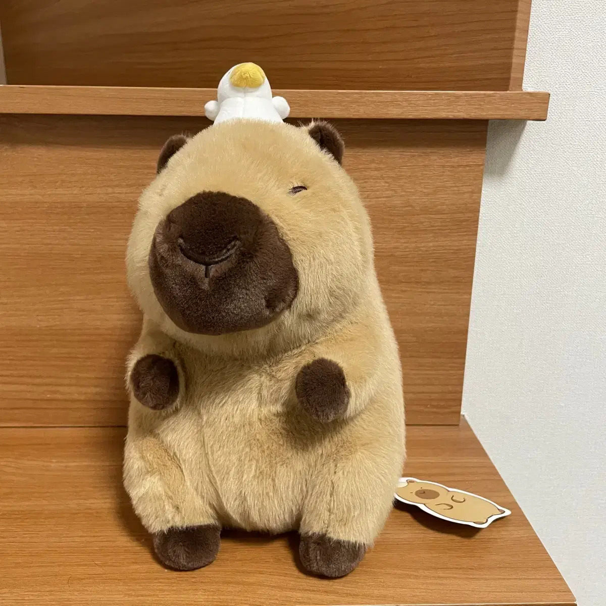 카피바라짱오리인형 / 카피바라 인형 / 오리카피바라 인형