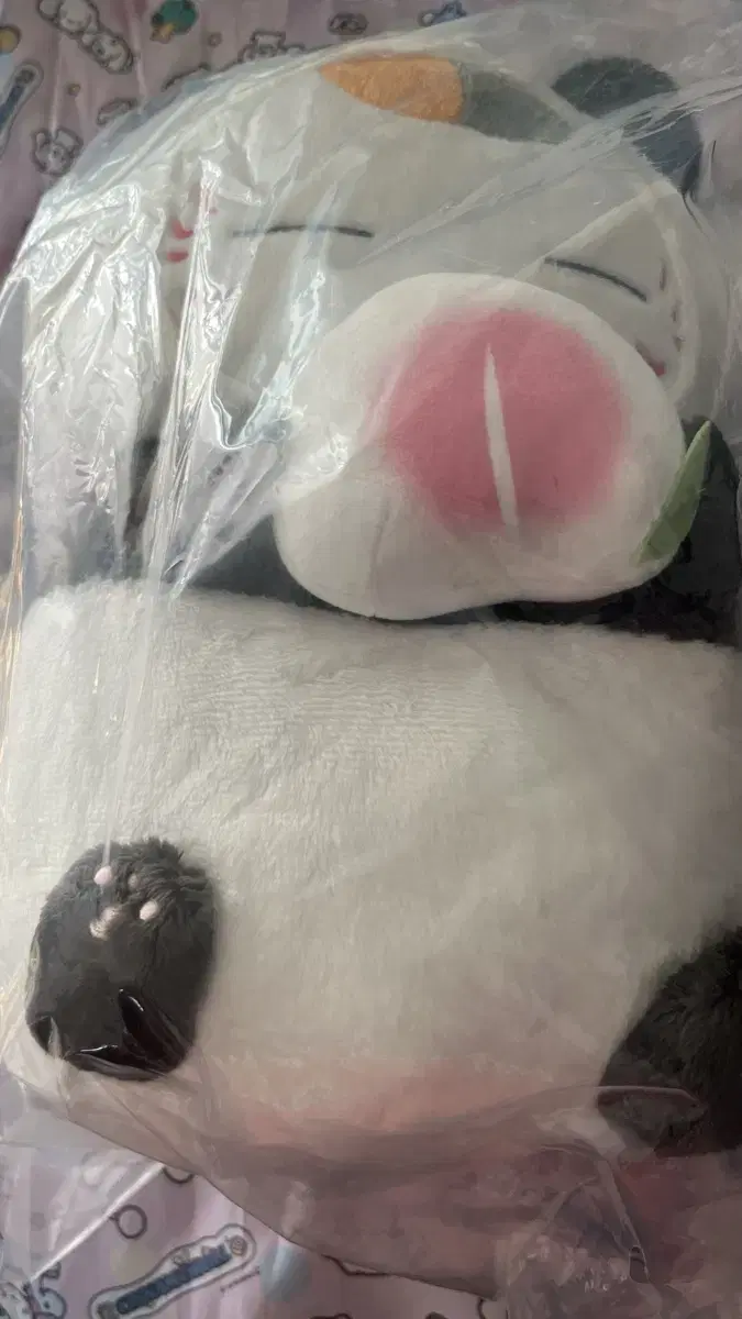 Unsealed, Half-priced Delivery) Natsume's Book of Friends Nyan Kōsense Panda doll A-class