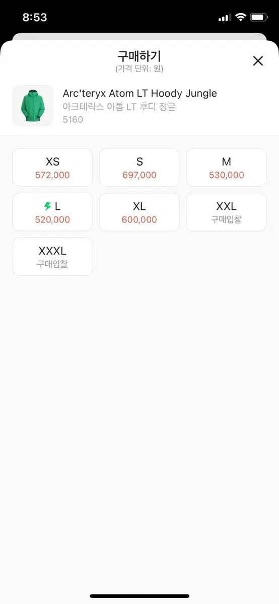 아크테릭스 아톰 lt 그린