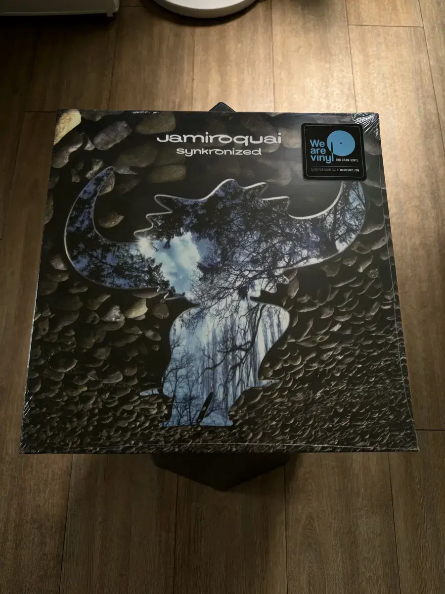 자미로콰이 lp Jamiroquai Synkronized