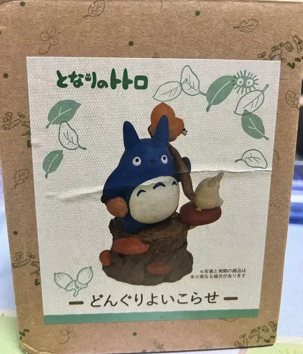 중토토로 소품함