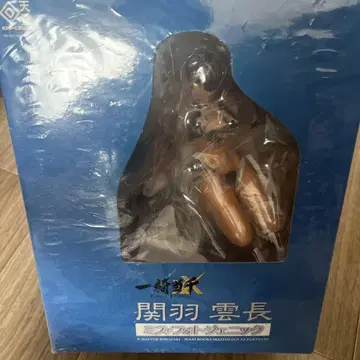 관우 운장 피규어 미스 포토제닉