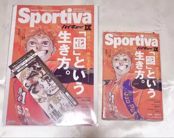 하이큐 히나타 쇼요 Sportiva 스포르티바
