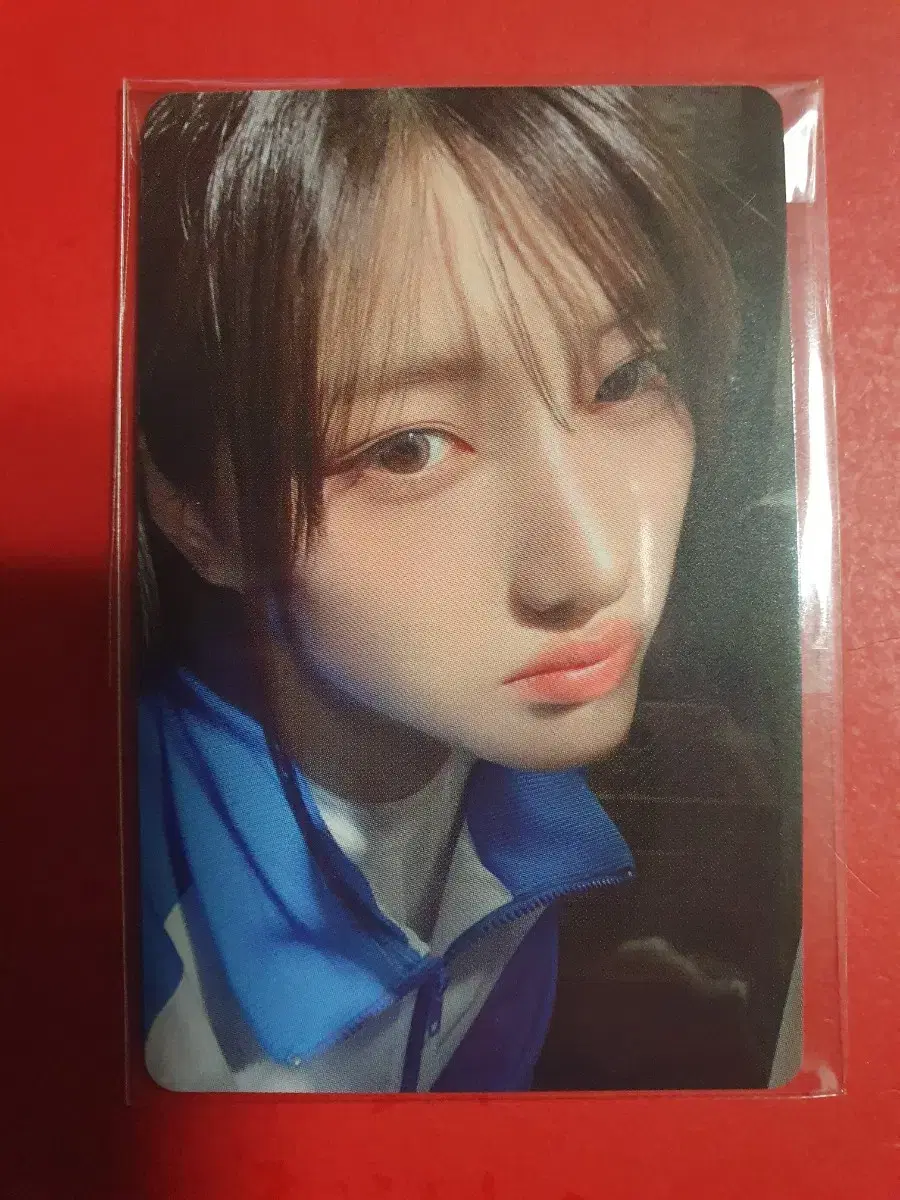 세이마이네임 준휘 공방포카