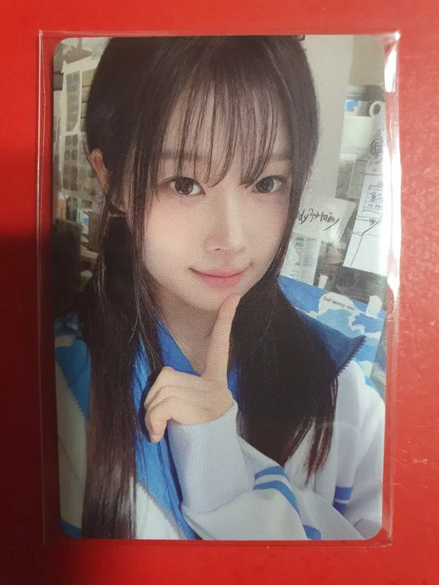세이마이네임 도희 공방포카