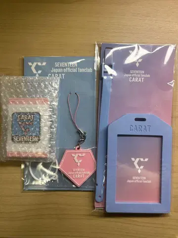 세븐틴 FC 트레이딩 카드 케이스 핀 배지 러버 참