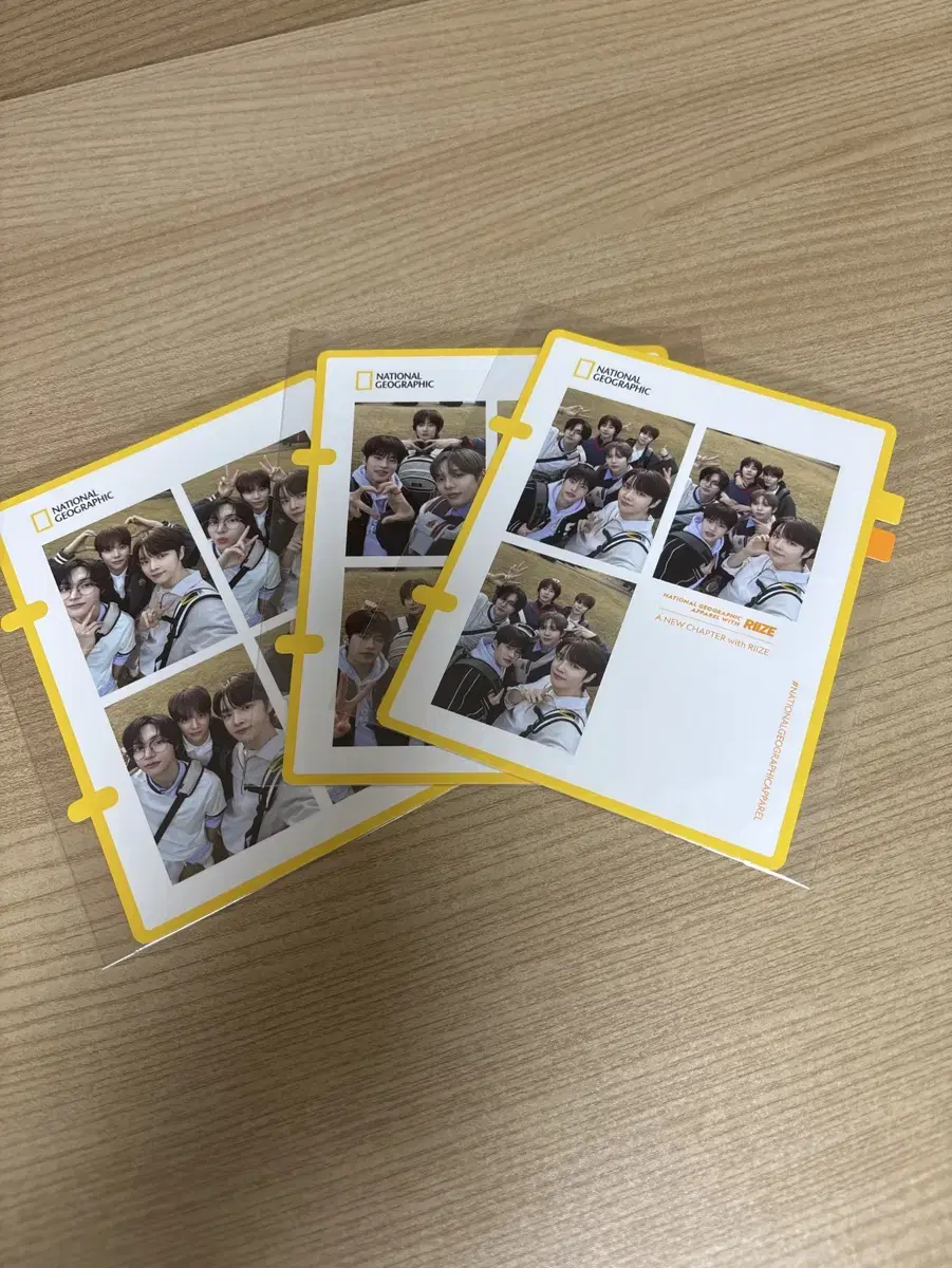 라이즈 네셔널 굿즈 판매