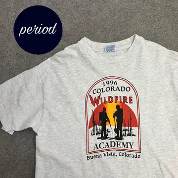 P1478 Hanes 90s wildfire academy 티셔츠