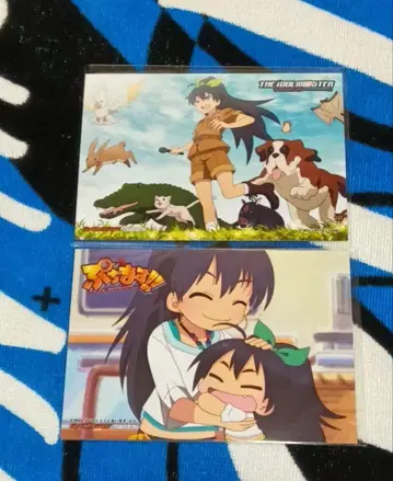 아이돌 마스터 가나하 히비키 혜택 브로마이드