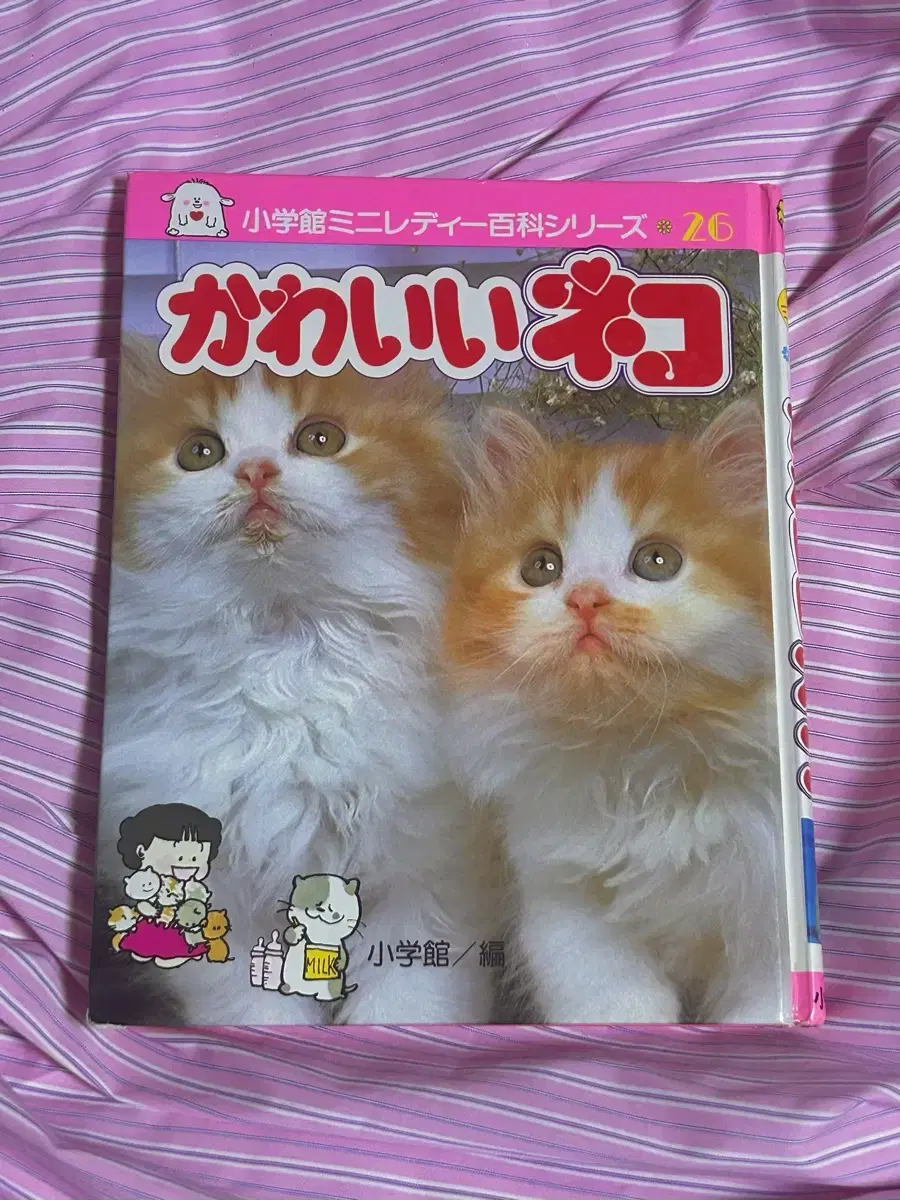 일본 쇼와레트로 고전 고양이 냥코 네코 책