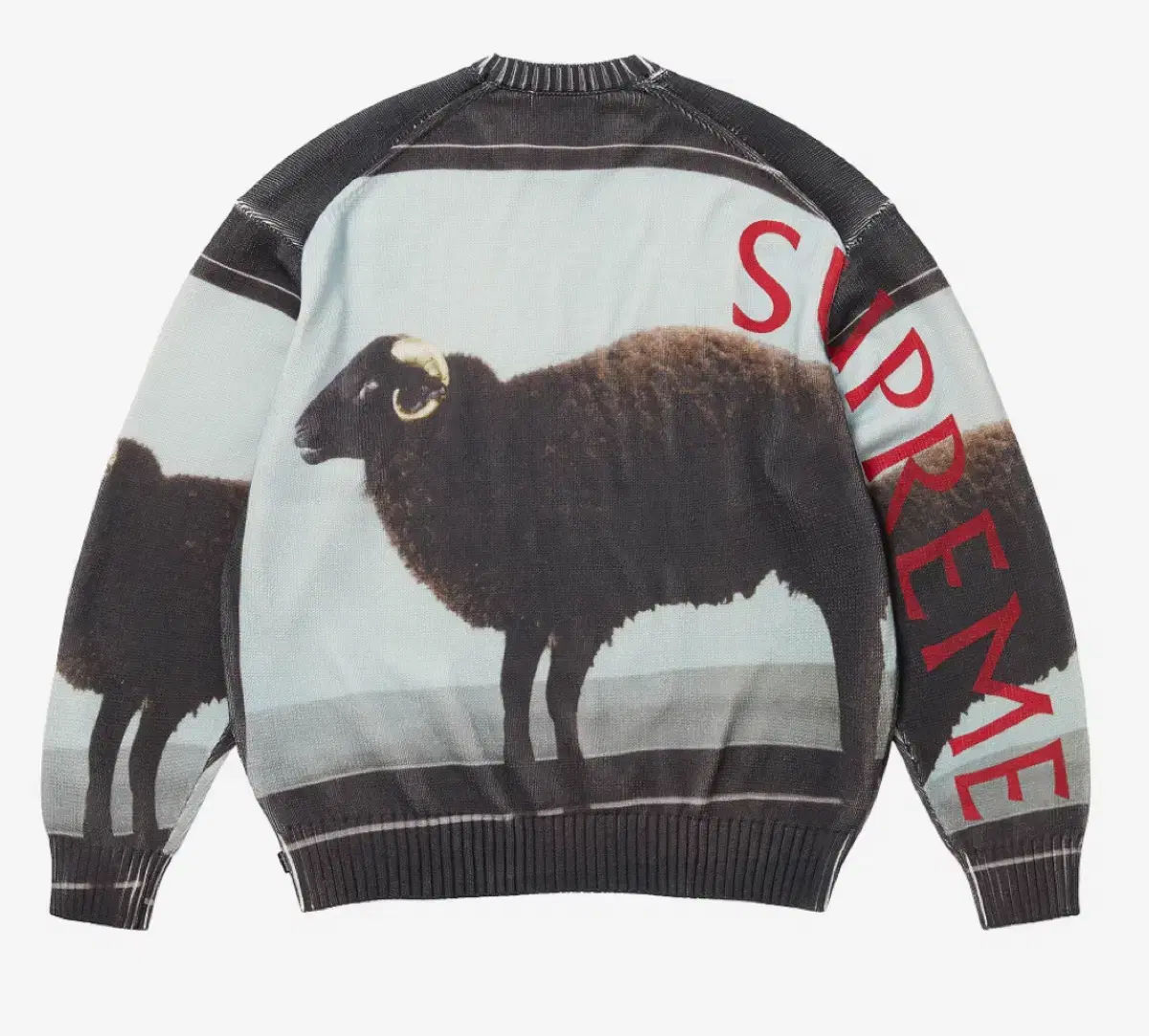 Supreme x Damien 스웨터 (슈프림 맨투맨) L