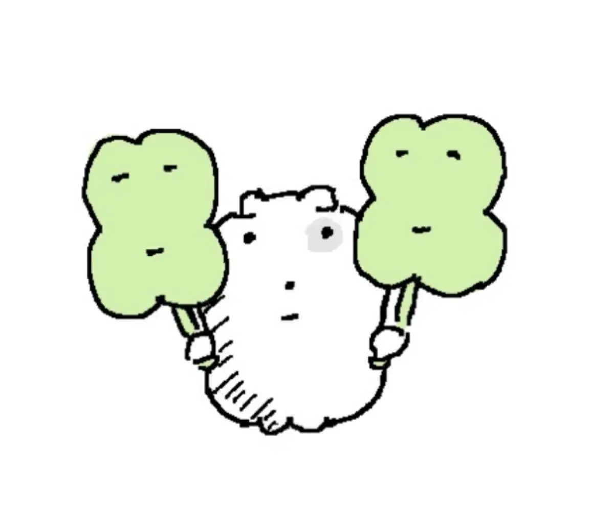 한유진 5집 포카 일괄 양도