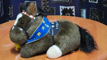 아반떼 제38회 아리마 기념 토카이 테이오 S사이즈 봉제 인형