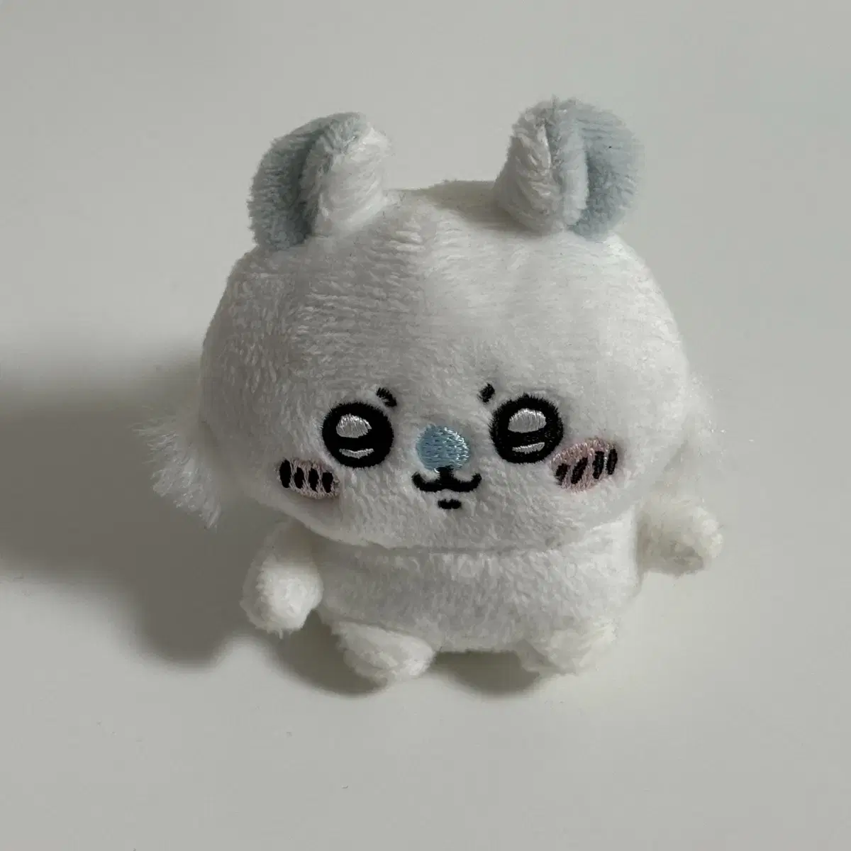 치이카와 모몽가 앉은 누이