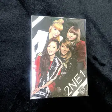 2NE1 사진집