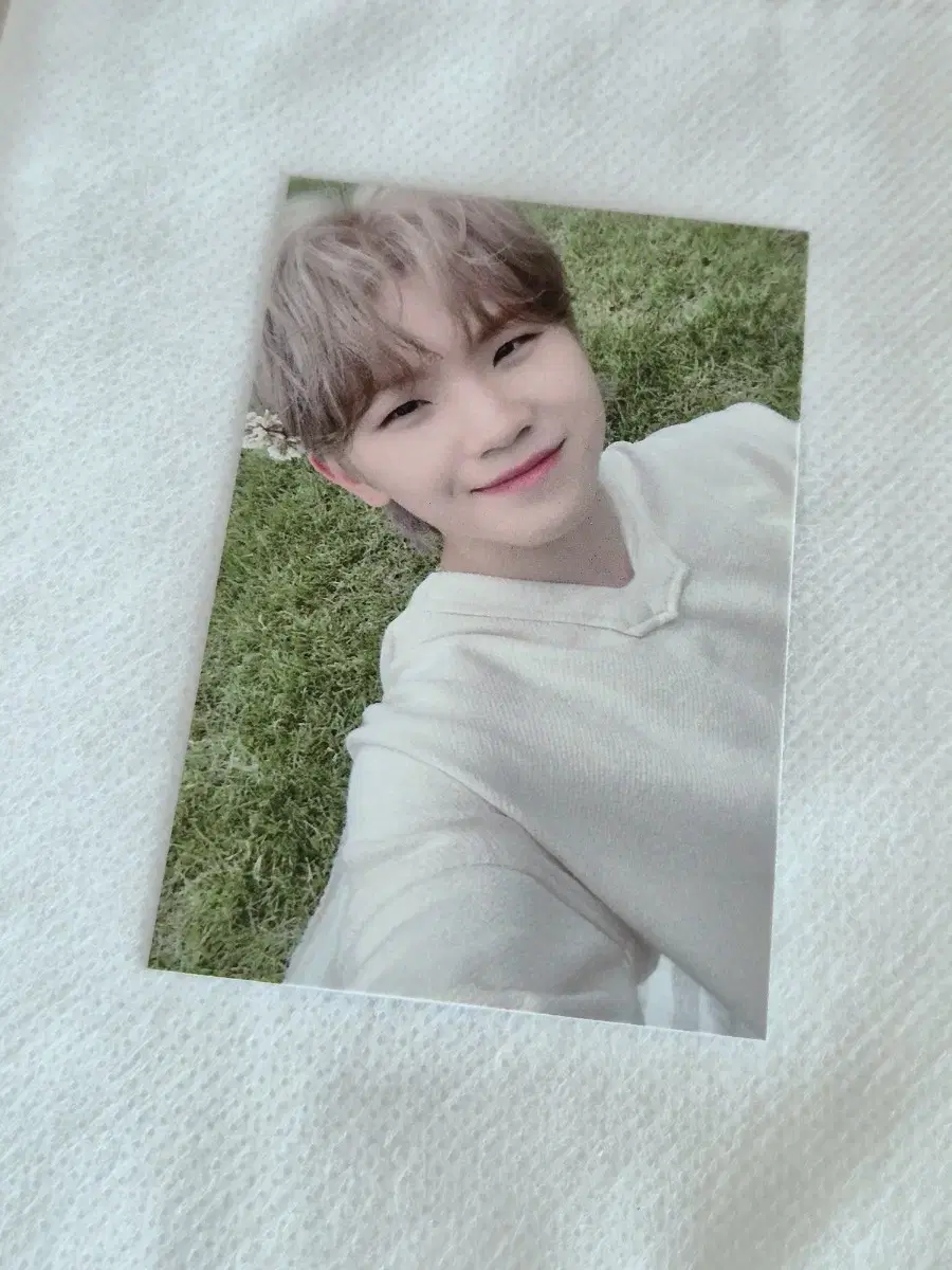 세븐틴 아타카 공방포카 우지