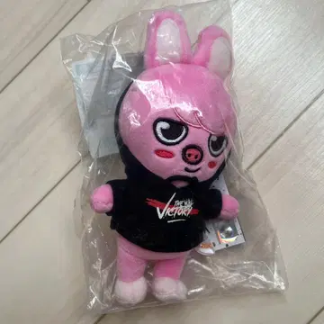 스트레이 키즈 흠집 DWAEKKI 찬빈 미니 플러시