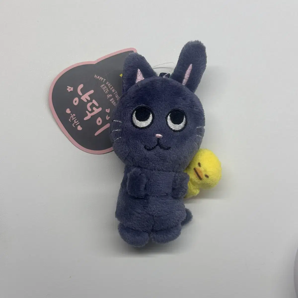 라이즈 원빈 10cm 인형 토냥덕 양도 원빈은석앤톤소희쇼타로응원봉슬로건