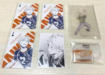 하이큐 스가와라 코시 트럼프 카드놀이 크로니클 포토 카드 아쿠피 세트