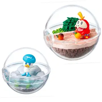 포켓몬 테라리움 컬렉션 순회하는 팔데아 세계 뜨아거(호게타) 쿠와스