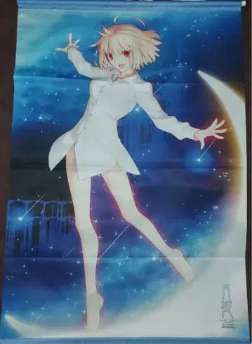 월희 리메이크 태피스트리 토라노아나 type-moon 알퀘이드
