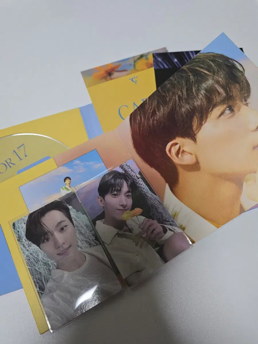 세븐틴 섹터 앨범 판매(양도)_포카O