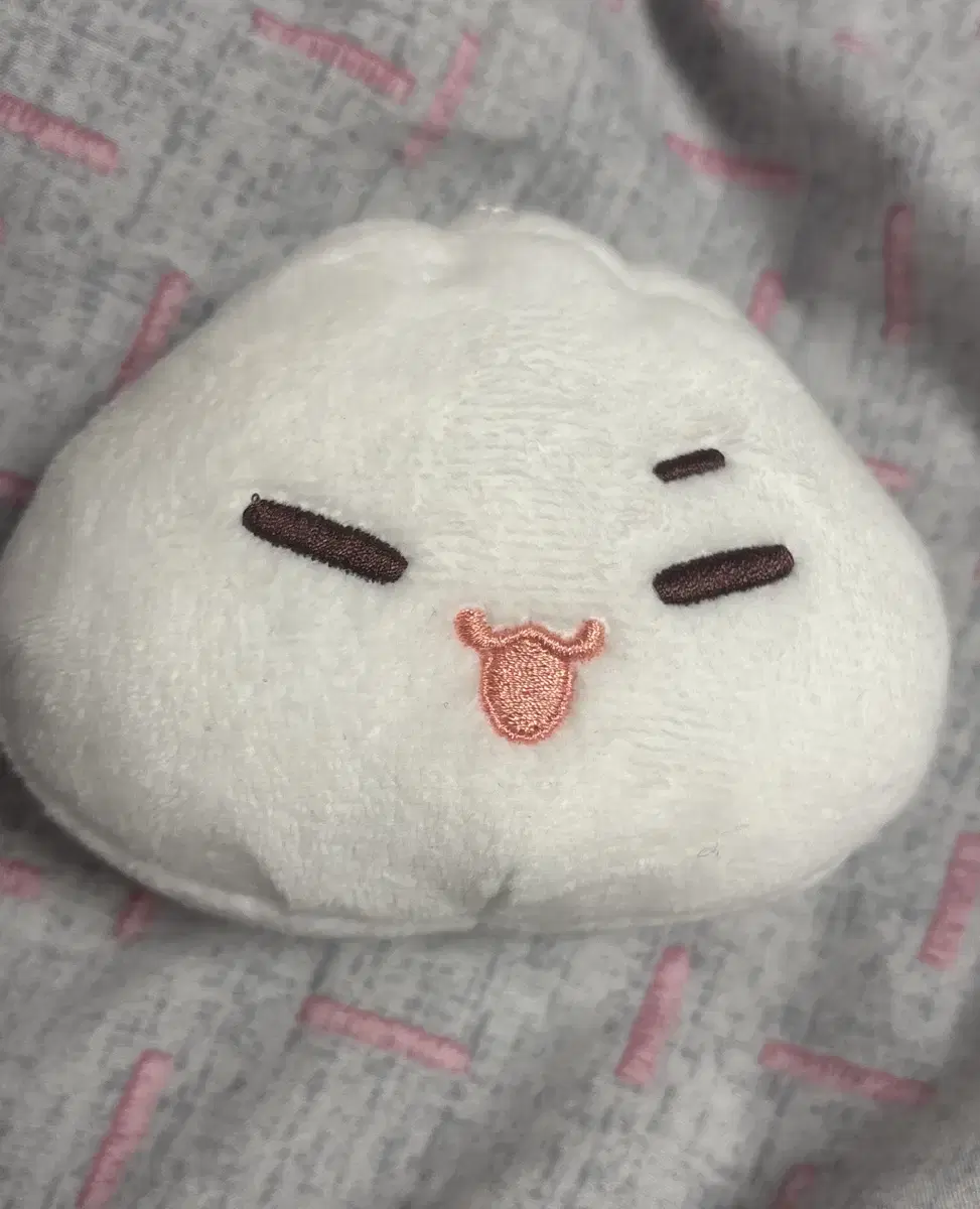 세븐틴 호시 인형 호바오