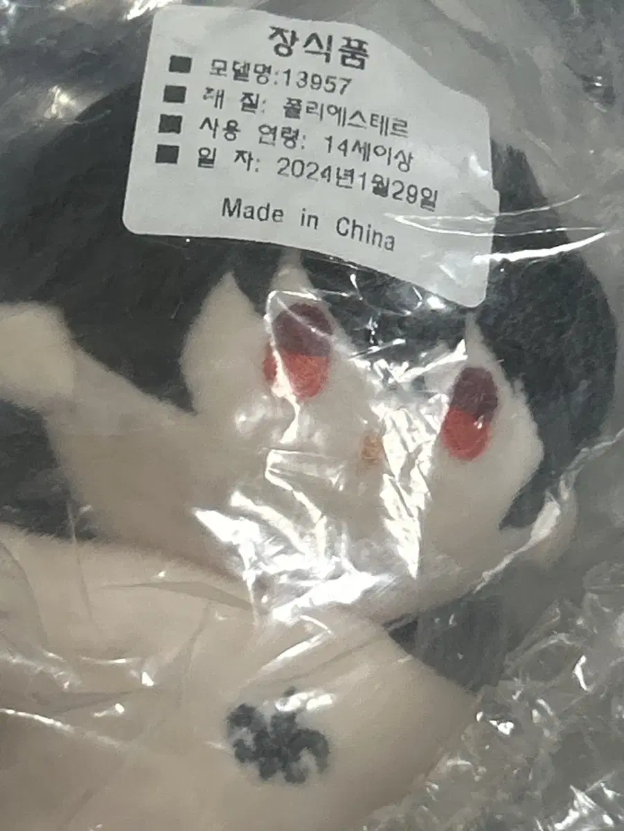 앙스타 와기앙스타 리츠