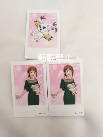 디지몬 02 마루이 샷 컬렉션 3장 야가미 이슬이(히카리) 테일몬