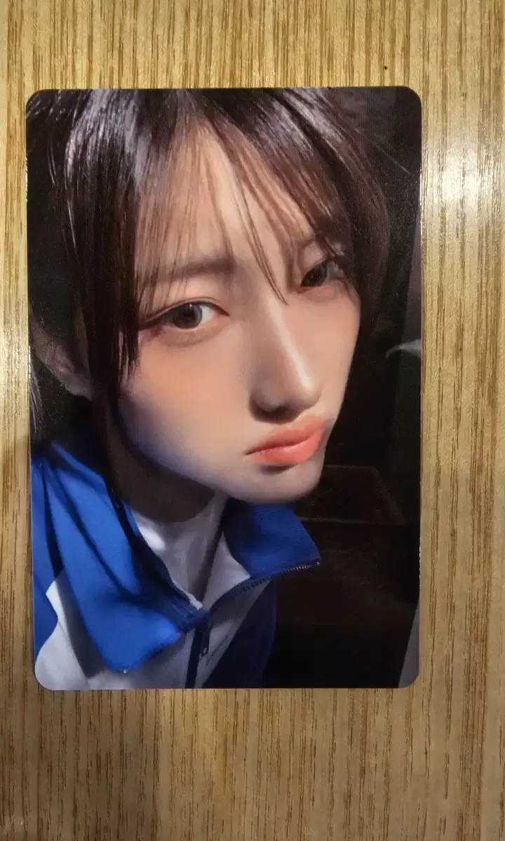세이마이네임 준휘 샤랄라 shalala 공방 포카 양도합니다.