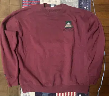 90s JANSPORT 맨투맨 챔피온 RUSSELL