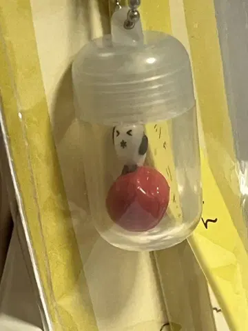 긴샤리 씨 스트랩 산엑스 레트로 레어