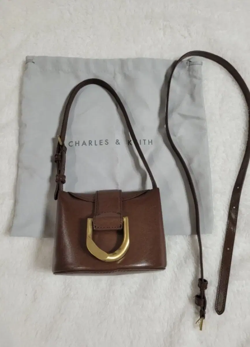 Charles & Keith Leather Crossbody Mini