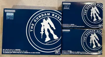 골드 코팅 MG RX-78-2 건담 Ver.3.0 & HG