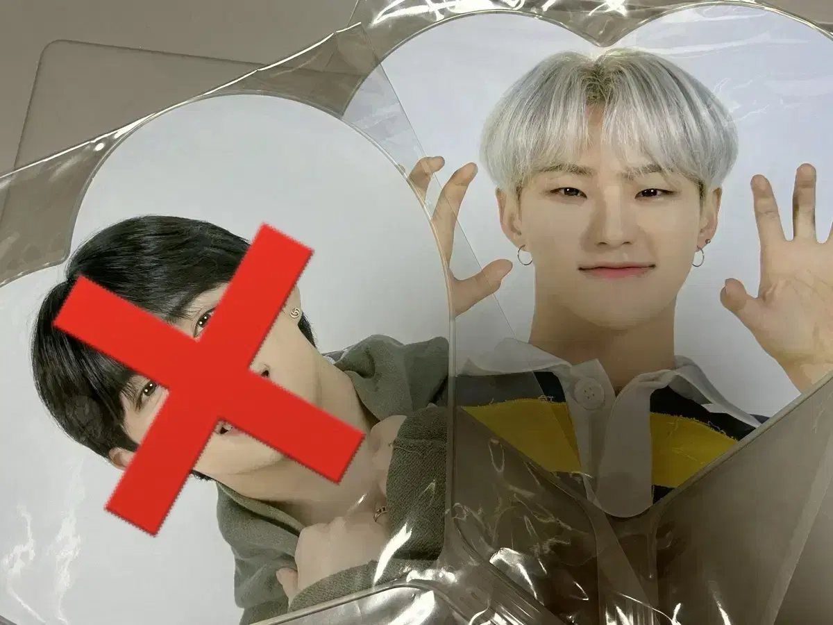 세븐틴 호시 우치와 (캐럿랜드)